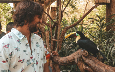 Costa Rica: El Documental que muestra el país de la Pura Vida